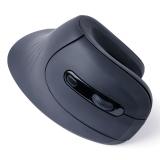 Gembird - MUSW-ERGO-03 ratón Hogar mano derecha RF inalámbrico Óptico 1600 DPI