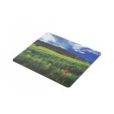 NATEC - NPF-1403 alfombrilla para ratón Multicolor