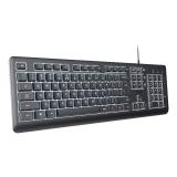 Trust - Primo Beleuchtete teclado Hogar / Oficina USB QWERTY Español Negro