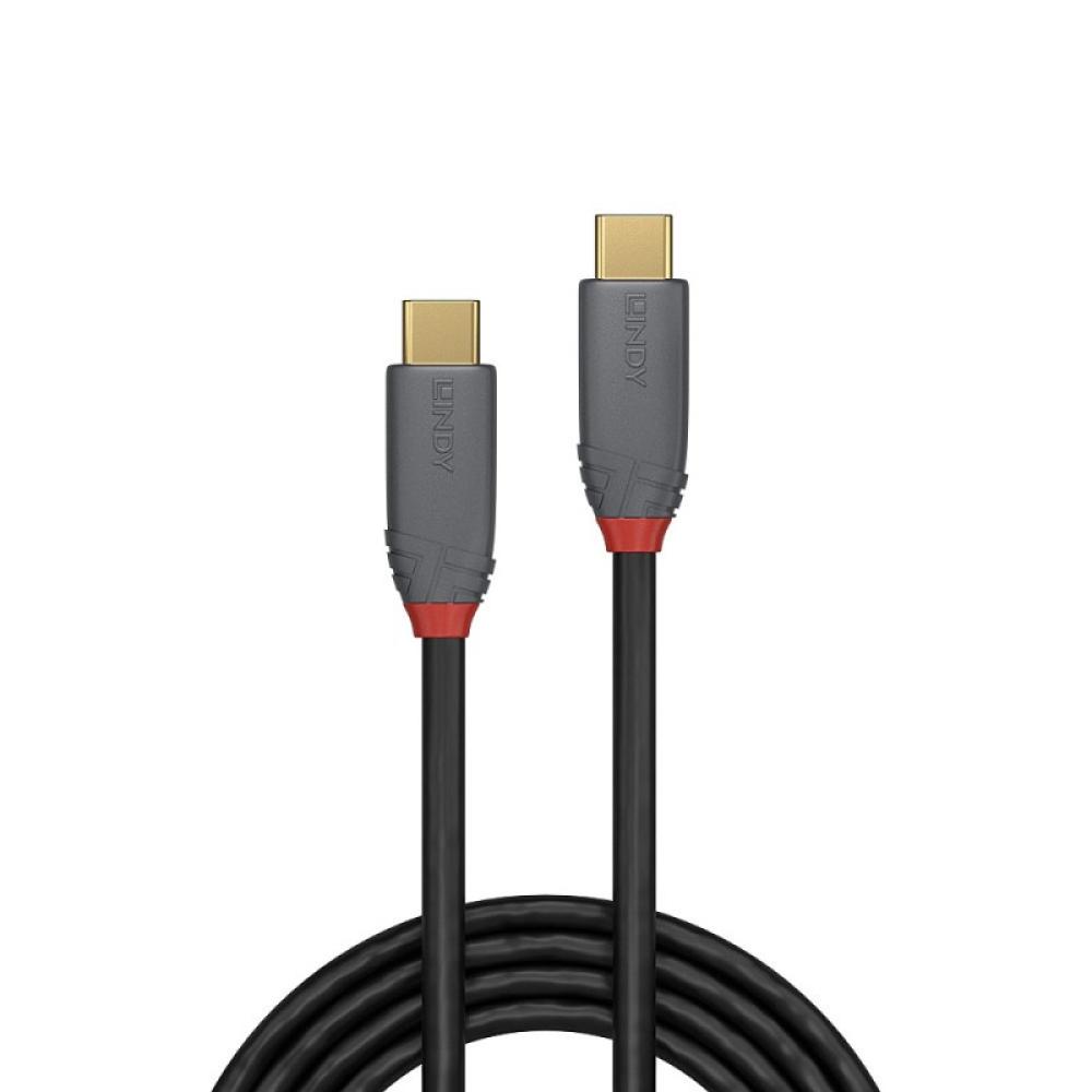 Lindy - 36901 cable USB 1 m USB C Negro, Gris