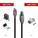 Lindy - 36941 cable USB USB 2.0 1 m USB C USB B Negro