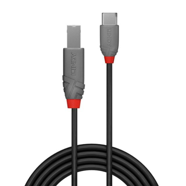 Lindy - 36941 cable USB USB 2.0 1 m USB C USB B Negro