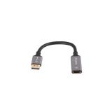 Lanberg - AD-DP-HD-02 adaptador de cable de vídeo 0,2 m DisplayPort HDMI Plata