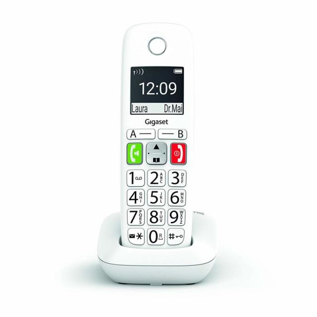Gigaset - E290 Teléfono DECT/analógico Identificador de llamadas Blanco