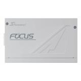 Seasonic - Focus GX unidad de fuente de alimentación 750 W 24-pin ATX ATX Blanco