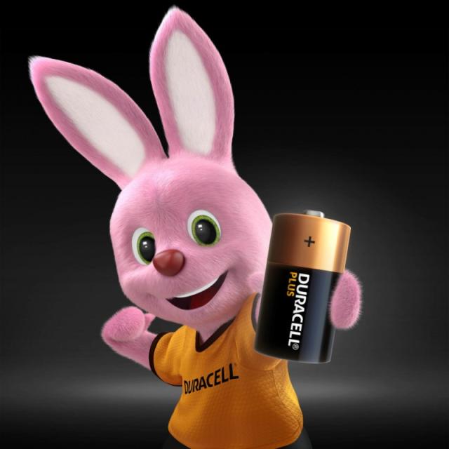 Duracell - Plus Batería de un solo uso C Alcalino