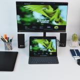 NGS - WONDERHDMI Adaptador gráfico USB Negro, Gris