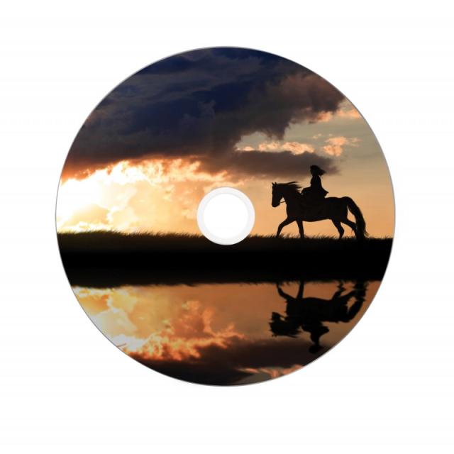 Verbatim - 43667 DVD en blanco 8,5 GB DVD+R DL 25 pieza(s)