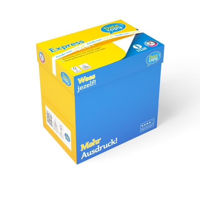 DataCopy - 521826 papel para impresora de inyección de tinta A4 (210x297 mm) 500 hojas Blanco
