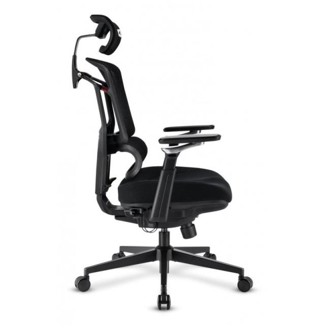 Sharkoon - OfficePal C50 Asiento acolchado Respaldo de rejilla