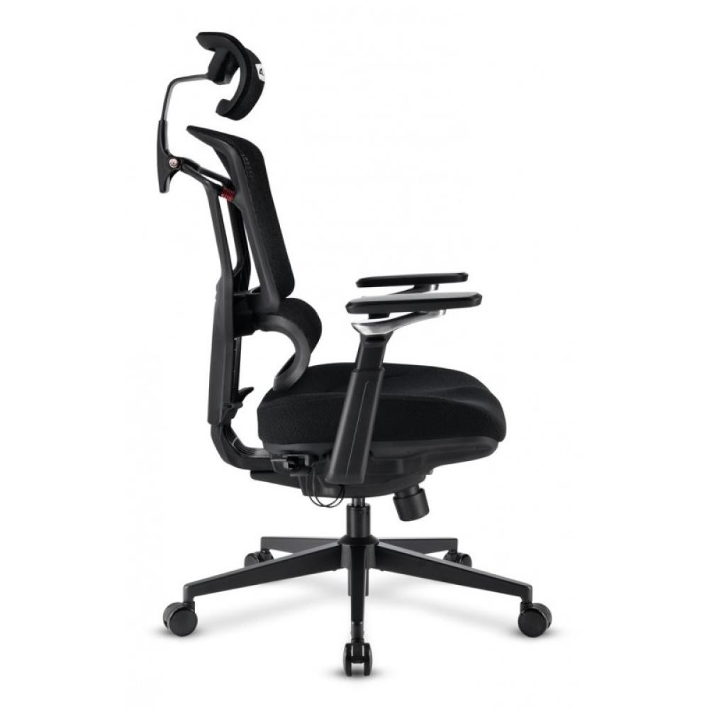 Sharkoon - OfficePal C50 Asiento acolchado Respaldo de rejilla