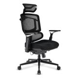 Sharkoon - OfficePal C50 Asiento acolchado Respaldo de rejilla