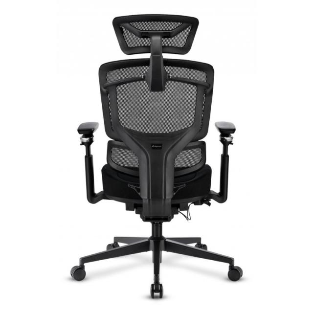 Sharkoon - OfficePal C50 Asiento acolchado Respaldo de rejilla