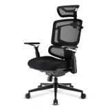 Sharkoon - OfficePal C50 Asiento acolchado Respaldo de rejilla