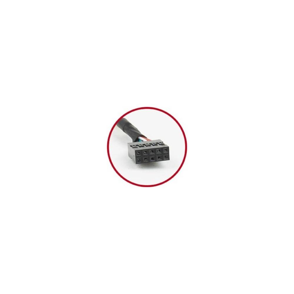 Gembird - Bracket conexión doble USB a placa base