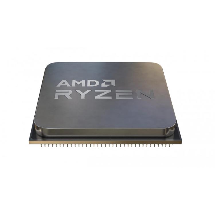 AMD - Ryzen 5 5500 procesador 3,6 GHz 16 MB L3 Bandeja