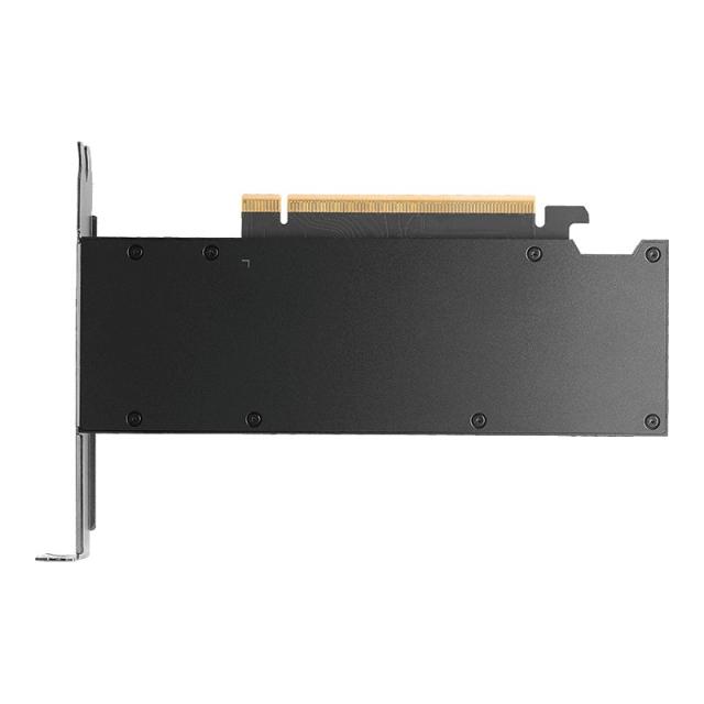 PNY - RTX PRO 2000 Blackwell NVIDIA 16 GB GDDR7