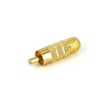 StarTech.com - RCA to F Type Coaxial Adapter, M/F conector coaxial