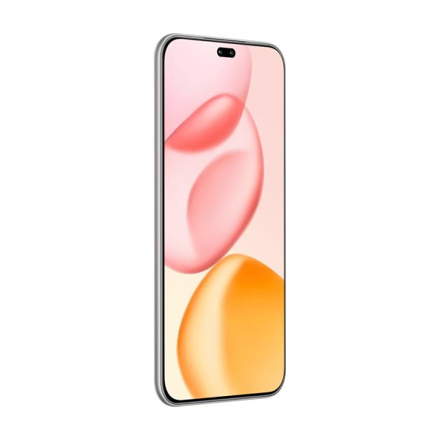 Honor - 400 Pro 17 cm (6.7") MagicOS 9.0 5G 12 GB 512 GB 5300 mAh Gris