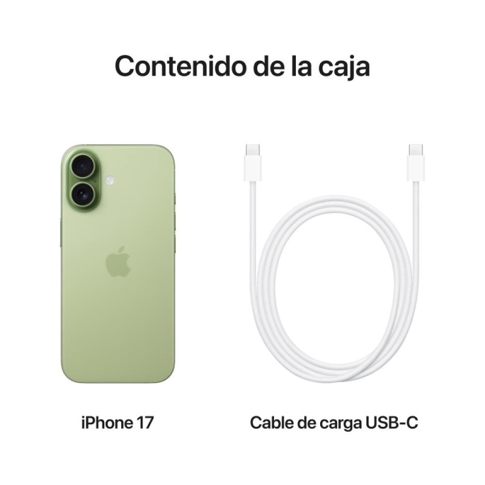 Apple - iPhone 17 16 cm (6.3") SIM doble iOS 26 5G USB Tipo C 512 GB Salvia