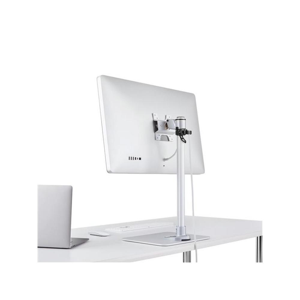 StarTech.com - Base de Sobremesa para un Monitor hasta 34" (14Kg)- Ajustable - de Acero - Plateado