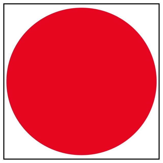 APLI - 11909 etiqueta autoadhesiva Plaza Permanente