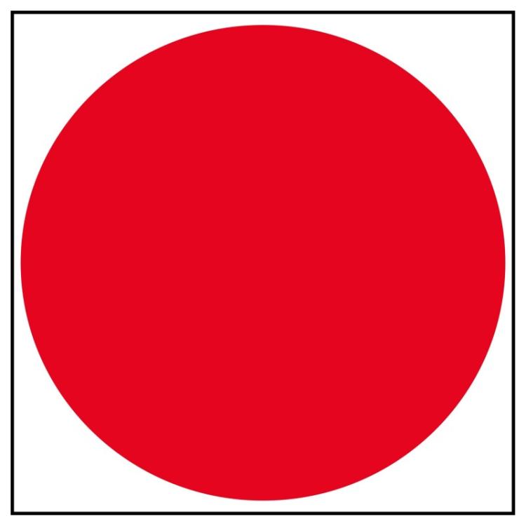 APLI - 11909 etiqueta autoadhesiva Plaza Permanente