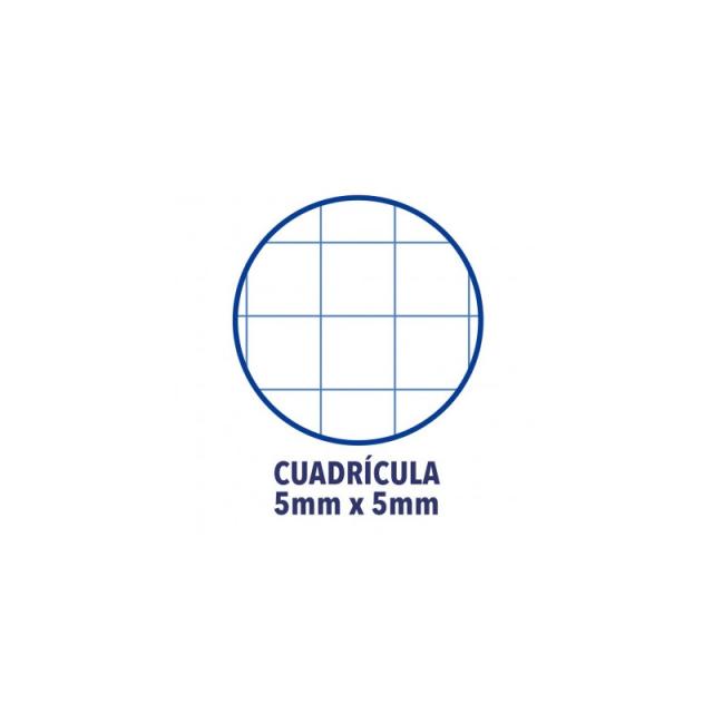 Oxford - Europeanbook 1 cuaderno y block A4 80 hojas Amarillo