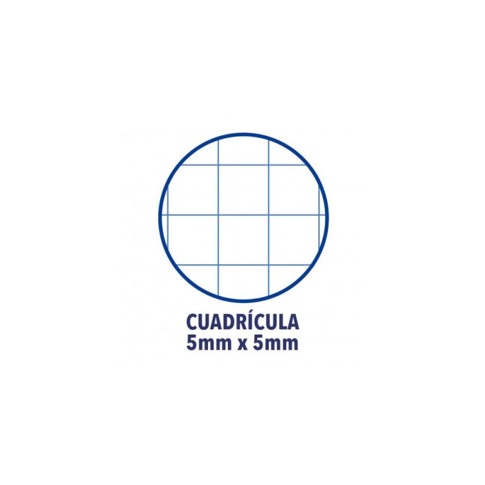 Oxford - Europeanbook 1 cuaderno y block A4 80 hojas Amarillo