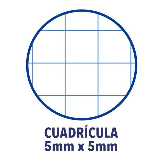 Oxford - Europeanbook 1 cuaderno y block A4+ 80 hojas Azul