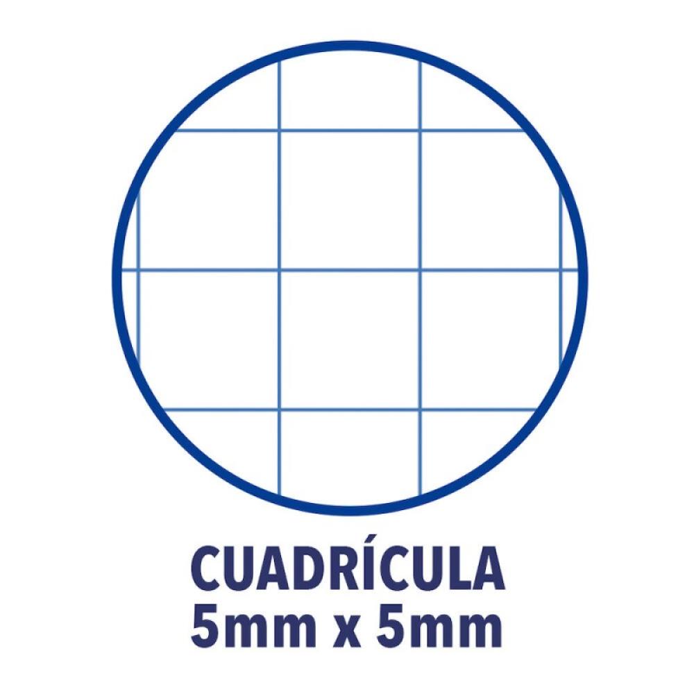 Oxford - Europeanbook 1 cuaderno y block A4+ 80 hojas Azul