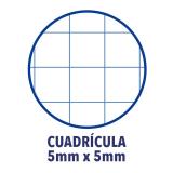 Oxford - Europeanbook 1 cuaderno y block A4+ 80 hojas Azul