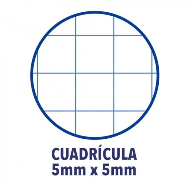 Oxford - 100430197 cuaderno y block Azul A4