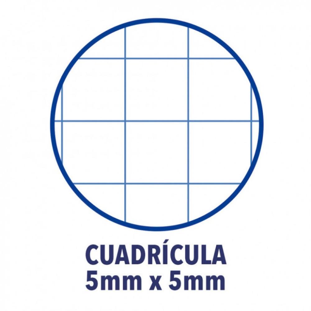 Oxford - 100430270 cuaderno y block Fucsia A4