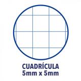 Oxford - 100430270 cuaderno y block Fucsia A4