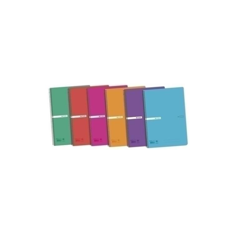 ENRI - BLOCK ENRI STATUS PP Fº 80h CD.4 COL.(6)