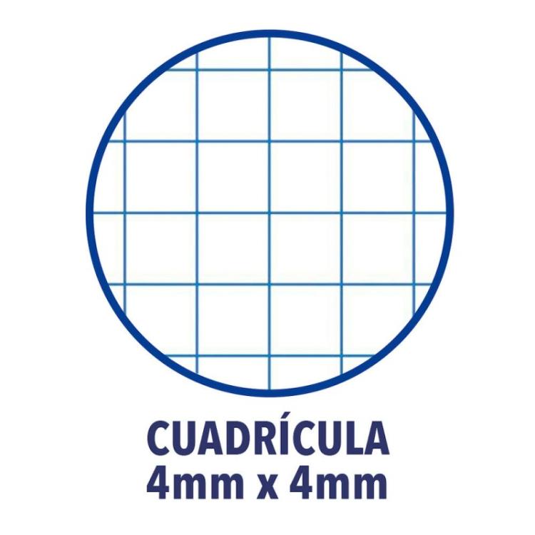 Oxford - 100430151 cuaderno y block 80 hojas Colores surtidos