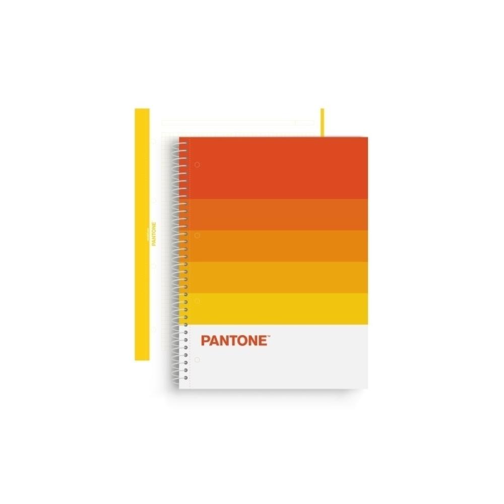 Escolofi - BLOCK ESCOL.PANTONE A4 SPEAKS 80h 5x5 WR - Pack de 5 unidades