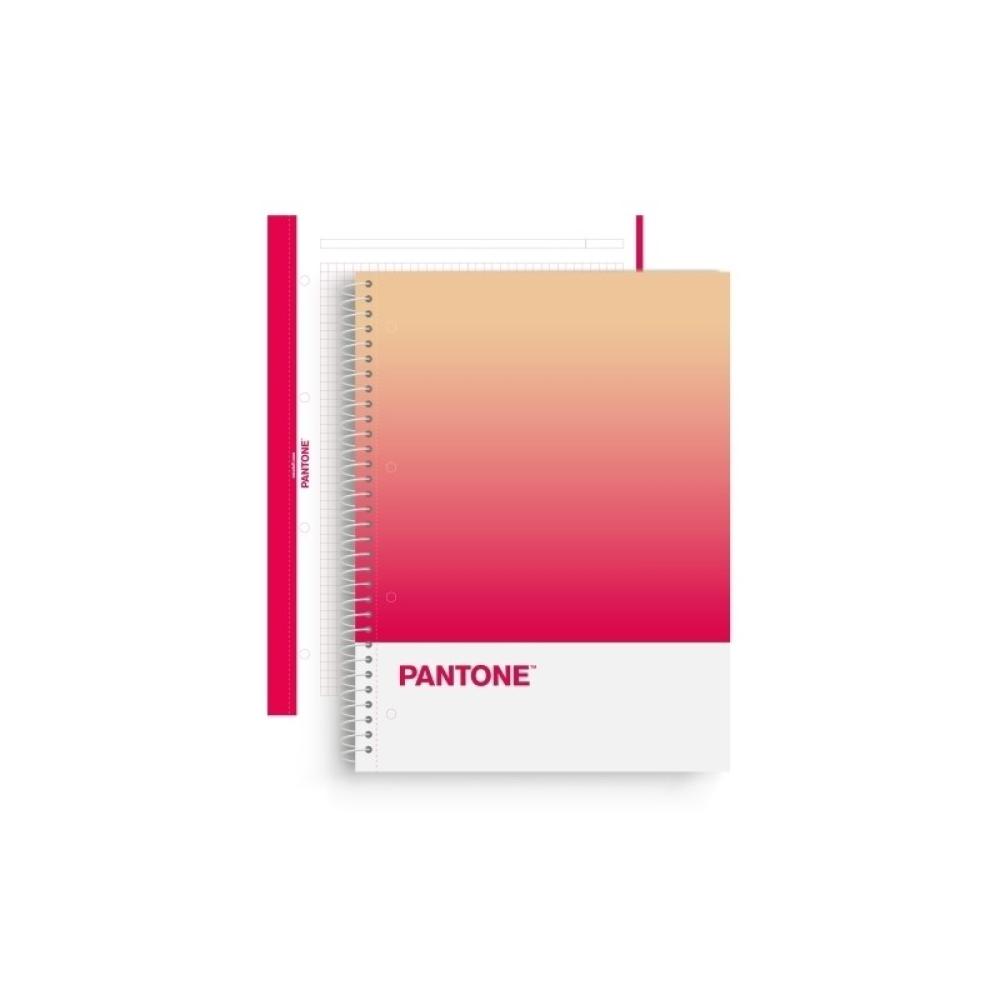 Escolofi - BLOCK ESCOL.PANTONE A4 TOGET. 80h 5x5 RP - Pack de 5 unidades