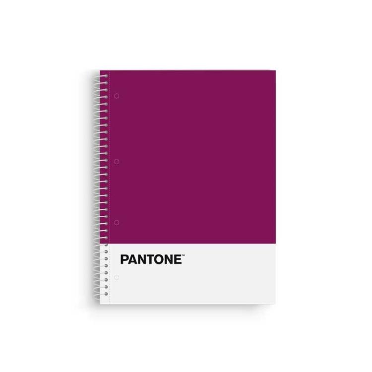 Escolofi - BLOCK ESCOL.PANTONE A4 BASIC 80h 5x5 VL