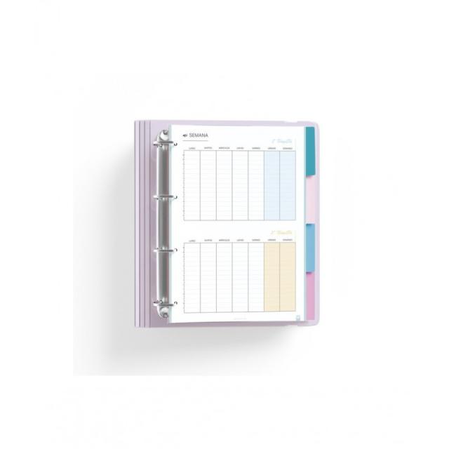 CARCHIVO - 12457499 cuaderno y block A4 100 hojas Multicolor