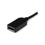 StarTech.com - Cable Adaptador de 20cm DMS-59 a 2x DisplayPort - Vídeo de 4K x 2K - Cable Divisor Splitter en Y LFH DMS de 59 pi