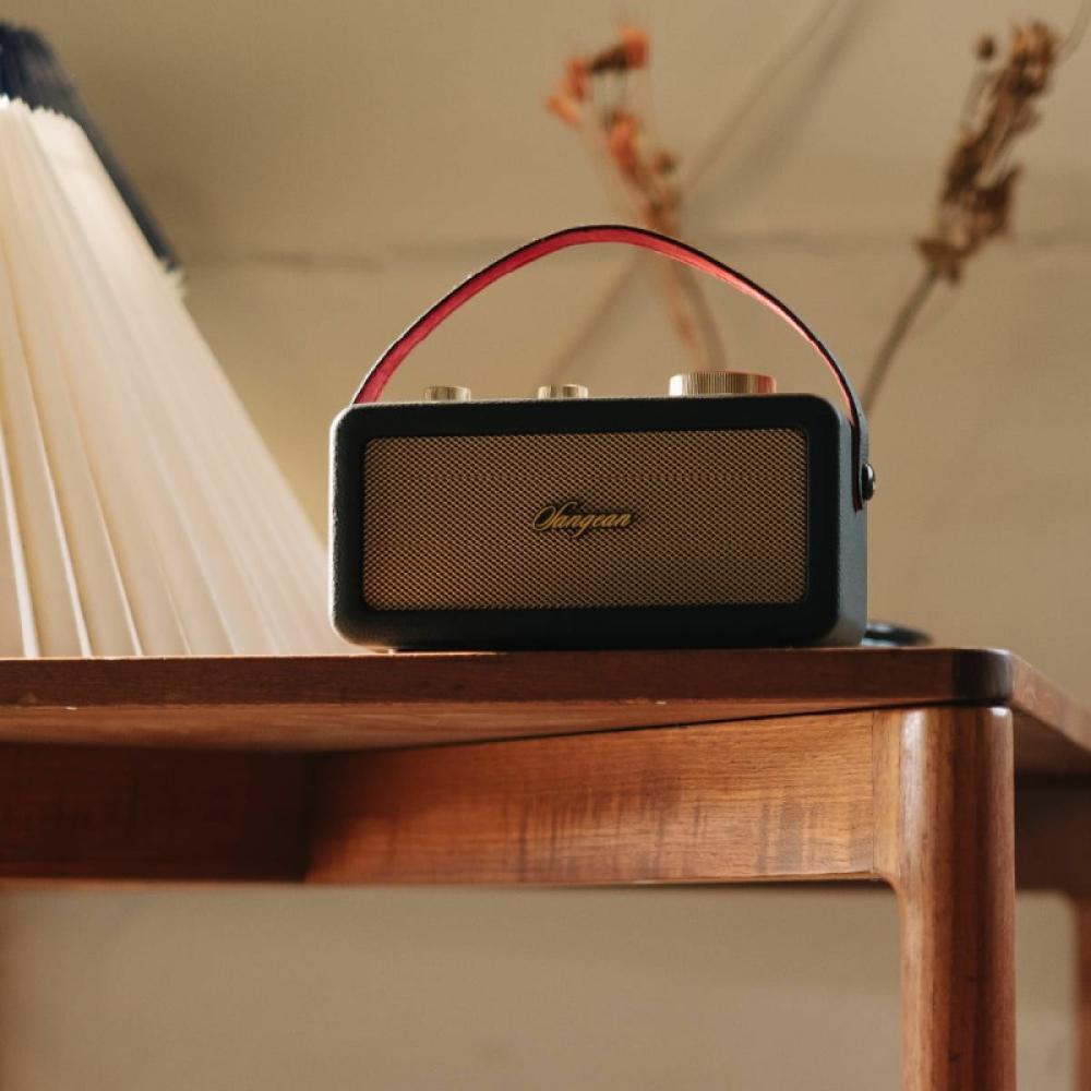 Sangean - RA-101 Portátil Analógica Negro, Oro