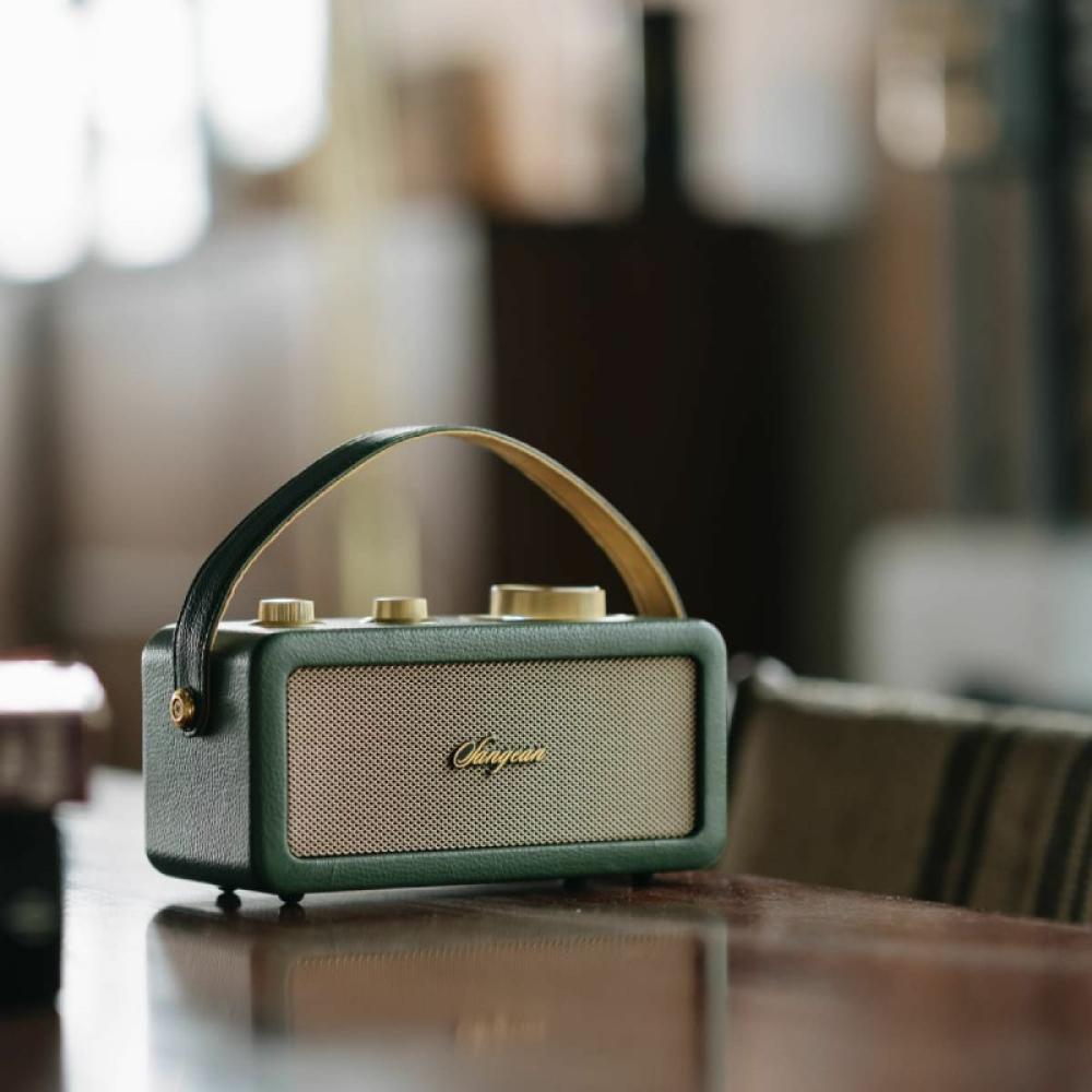 Sangean - RA-101 Portátil Analógica Oro, Verde