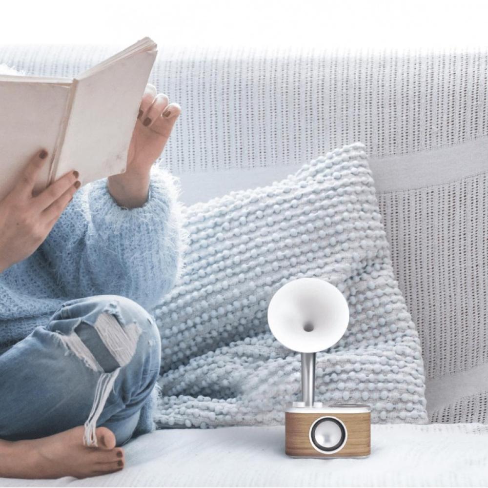 Sangean - WR-45 Portátil Negro