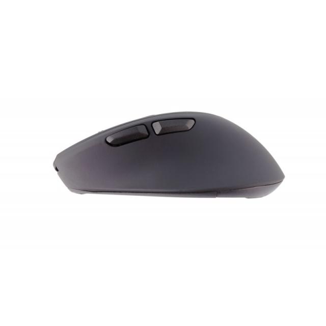 TALIUS - Ratón inalámbrico MO-701 RF/BT USB black