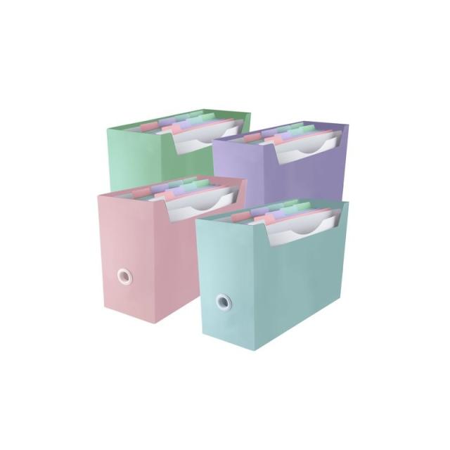Office Box - ORGANIZADOR CARP. BLUSH SURT.4 COL - Pack de 4 unidades