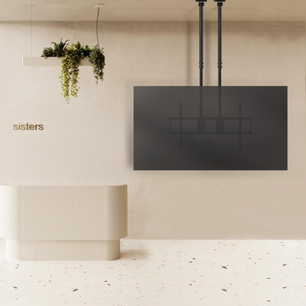 TooQ - Soporte de Techo Extensible con doble mástil para Pantallas 60”-120", Negro