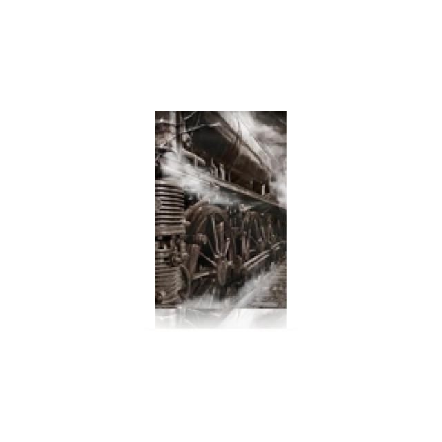 Epson - Cold Press Bright 17" x 15 m