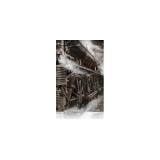 Epson - Cold Press Bright 17" x 15 m